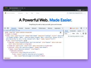 web-developer