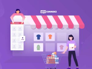 extensions-woocommerce-pour-des-fonctionnalites-avancees